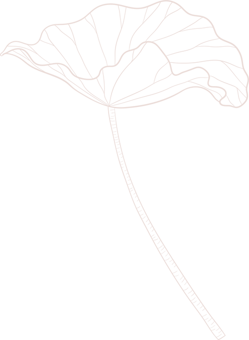 Decoration